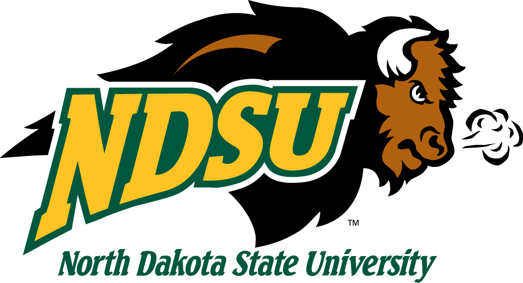 North Dakota State Bison 2005-2011 Secondary Logo 01 iron on paper